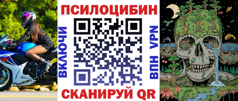 Галлюциногенные грибы GOLDEN TEACHER  Купить  Александров 