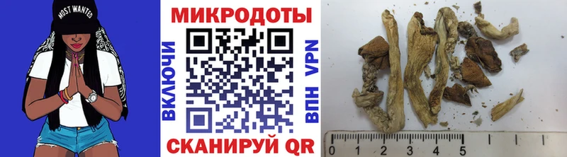 Псилоцибиновые грибы Cubensis Александров